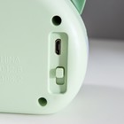 Лампа настольная «Дели» LED 2 режима 2 Вт USB зеленый 11.7×7×12 см RISALUX - Фото 13
