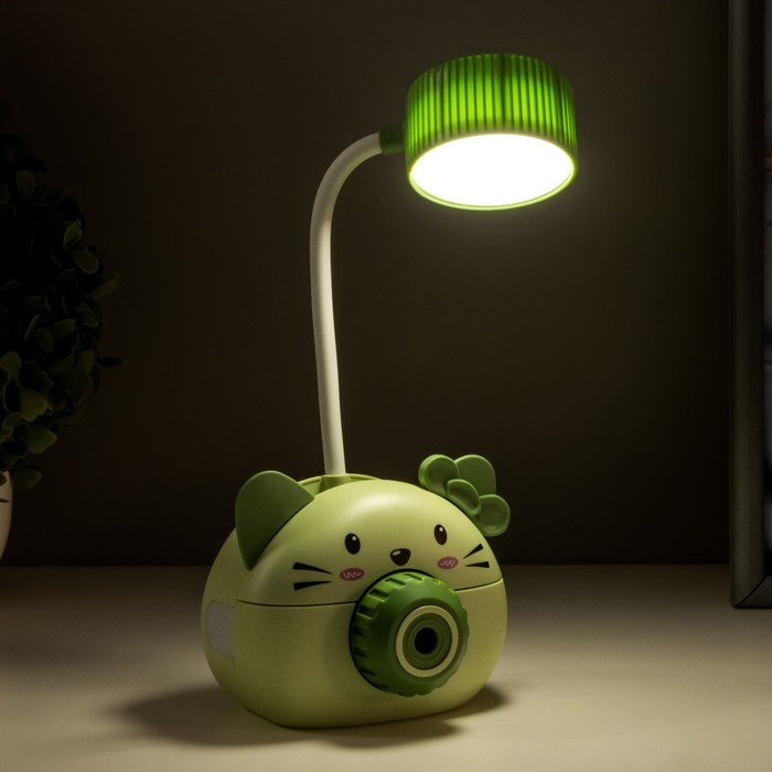 Лампа настольная "Дели" LED 2 режима 2Вт USB зеленый 11,7х7х12 см RISALUX - фото 1908900791