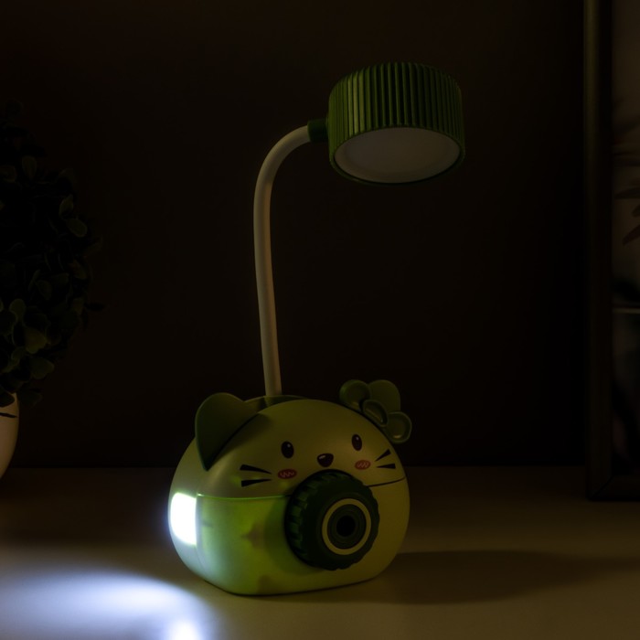 Лампа настольная "Дели" LED 2 режима 2Вт USB зеленый 11,7х7х12 см RISALUX - фото 1888316162
