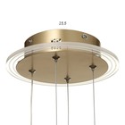 Люстра «Стрекоза»LED 48 Вт 3000-6000К золото 52×52×80 см BayerLux - Фото 12
