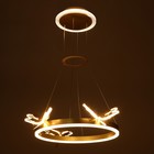 Люстра «Стрекоза»LED 48 Вт 3000-6000К золото 52×52×80 см BayerLux - Фото 3