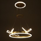 Люстра «Стрекоза»LED 48 Вт 3000-6000К золото 52×52×80 см BayerLux - Фото 4