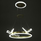 Люстра «Стрекоза»LED 48 Вт 3000-6000К золото 52×52×80 см BayerLux - Фото 5