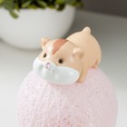Фигурка световая RISALUX «Бурундучок», LED-ночник, от батареек, бежевый, 6×6×10 см - Фото 6