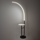 Торшер 19039/1 LED черно-белый 70х30х165 см - Фото 3
