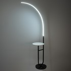 Торшер 19039/1 LED черно-белый 70х30х165 см - Фото 4
