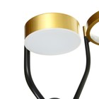 Бра 2292/2 LED 30Вт 3000-6000К черно-золотой 34х33х20,5 см - фото 21587796