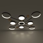 Люстра с ПДУ 2298/9BK LED 204Вт 3000-6000К черный 120х120х15 см BayerLux - Фото 3