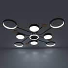 Люстра с ПДУ 2298/9BK LED 204Вт 3000-6000К черный 120х120х15 см BayerLux - Фото 4