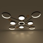 Люстра с ПДУ 2298/9BK LED 204Вт 3000-6000К черный 120х120х15 см BayerLux - Фото 5