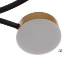 Люстра с ПДУ 2299/9GD LED 176Вт 3000-6000К золото 88х88х18 см BayerLux - Фото 8
