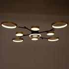 Люстра с ПДУ 2300/9GD LED 190Вт 3000-6000К золото 85х85х9 см BayerLux - Фото 5