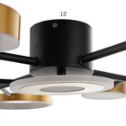 Люстра с ПДУ 2300/9GD LED 190Вт 3000-6000К золото 85х85х9 см BayerLux - Фото 6