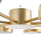 Люстра с ПДУ 2301/8GD LED 160Вт 3000-6000К золото 93х93х8 см BayerLux - фото 42621805