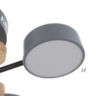 Люстра с ПДУ 2297/4GR LED 96Вт 3000-6000К серый 63х46х14 см BayerLux - фото 35369829