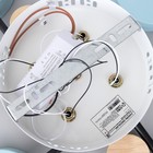 Люстра с ПДУ 2297/4BL LED 96Вт 3000-6000К синий 63х46х14 см BayerLux - Фото 12