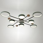 Люстра с ПДУ 2298/9GN LED 204Вт 3000-6000К зеленый 120х120х15 см BayerLux - Фото 2