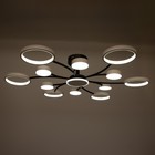 Люстра с ПДУ 2299/13WT LED 256Вт 3000-6000К белый 106х106х18 см BayerLux 7153716 - фото 14041436