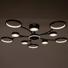 Люстра с ПДУ 2299/11BK LED 216 Вт 3000-6000К черный 97×97×18 см BayerLux - фото 3779487