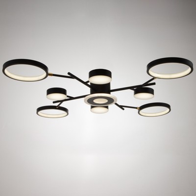 Люстра с ПДУ 2300/9BK LED 190 Вт 3000-6000К черный 85×85×9 см BayerLux