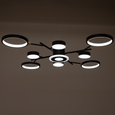 Люстра с ПДУ 2300/9BK LED 190 Вт 3000-6000К черный 85×85×9 см BayerLux