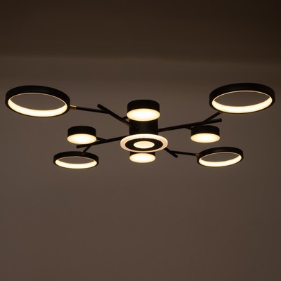 Люстра с ПДУ 2300/9BK LED 190 Вт 3000-6000К черный 85×85×9 см BayerLux