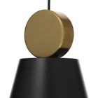 Светильник BayerLux 2285/1b LED черно-золотой 20х20х24-124 см - Фото 5