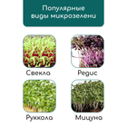 Коврик джутовый для выращивания микрозелени, 10×15 см, толщина 1 см, набор 5 шт. - Фото 10