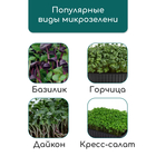 Коврик джутовый для выращивания микрозелени, 10×15 см, толщина 1 см, набор 5 шт. - Фото 11