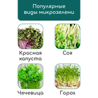 Коврик джутовый для выращивания микрозелени, 10×15 см, толщина 1 см, набор 5 шт. - Фото 12