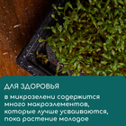 Коврик джутовый для выращивания микрозелени, 10×15 см, толщина 1 см, набор 5 шт. - Фото 8