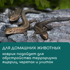 Коврик джутовый для выращивания микрозелени, 10×15 см, толщина 1 см, набор 5 шт. - Фото 9