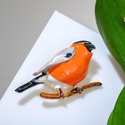 Брошь «Птица» снегирь, чёрно-оранжевый в золоте - Фото 1