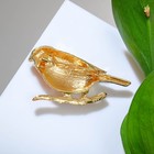 Брошь «Птица» снегирь, чёрно-оранжевый в золоте - Фото 2