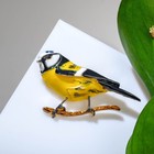 Брошь «Птица» синица, чёрно-жёлтый в золоте - фото 319994653