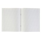 Набор тетрадей, 12 листов в косую линейку, «Зелёная обложка», серые листы, 20 штук - Фото 2