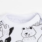 Комплект: джемпер и брюки Крошка Я "Dogs", рост 68-74 см, цвет белый/оранжевый - фото 24587244