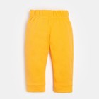 Комплект: джемпер и брюки Крошка Я "Dogs", рост 68-74 см, цвет белый/оранжевый - фото 24587248