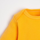 Комплект: боди, шапочка и брюки Крошка Я "Dogs", рост 68-74 см - Фото 3