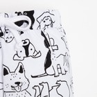 Ползунки-штанишки Крошка Я «Dogs», рост 62-68 см, цвет белый - Фото 2