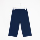 Шорты мужские, цвет тёмно-синий, размер 58 7743961