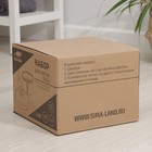 Швабра с отжимом и ведром Raccoon, ведро с подачей воды 19.5×31 см, швабра 23×135 см, насадка из микрофибры d=23 см - Фото 13