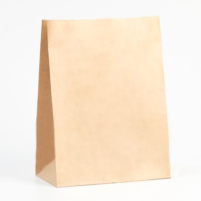 Пакет крафт бумажный, фасовочный, прямоугольное дно, 22×12×29 см, 50 г/м²