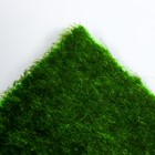 Мох декоративный на ПВХ основе 230х250 мм, зелёный - Фото 4