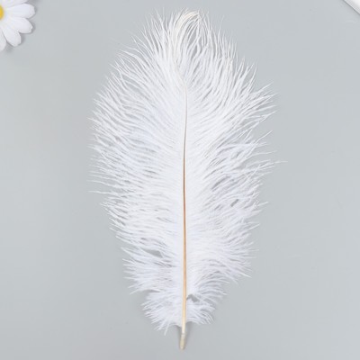 Перо страуса 200-250 мм, белый