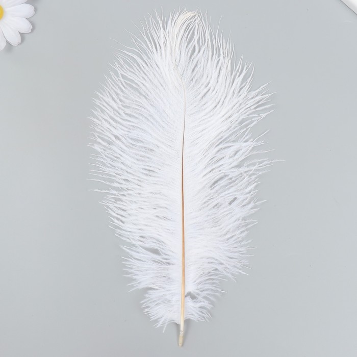 Перо страуса 200-250 мм, белый - Фото 1