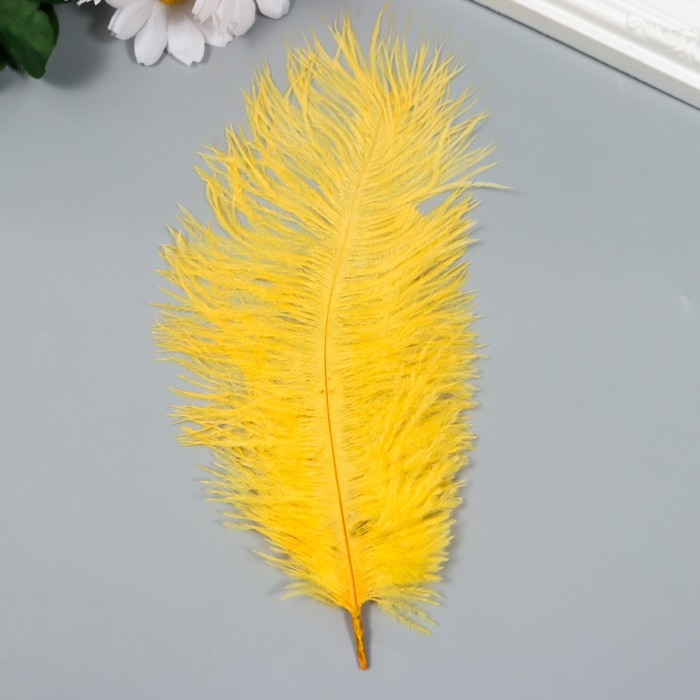 Перо страуса 200-250 мм, желтый - Фото 1