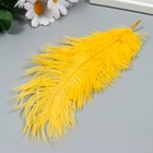 Перо страуса 200-250 мм, желтый - Фото 2