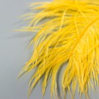 Перо страуса 200-250 мм, желтый - Фото 3