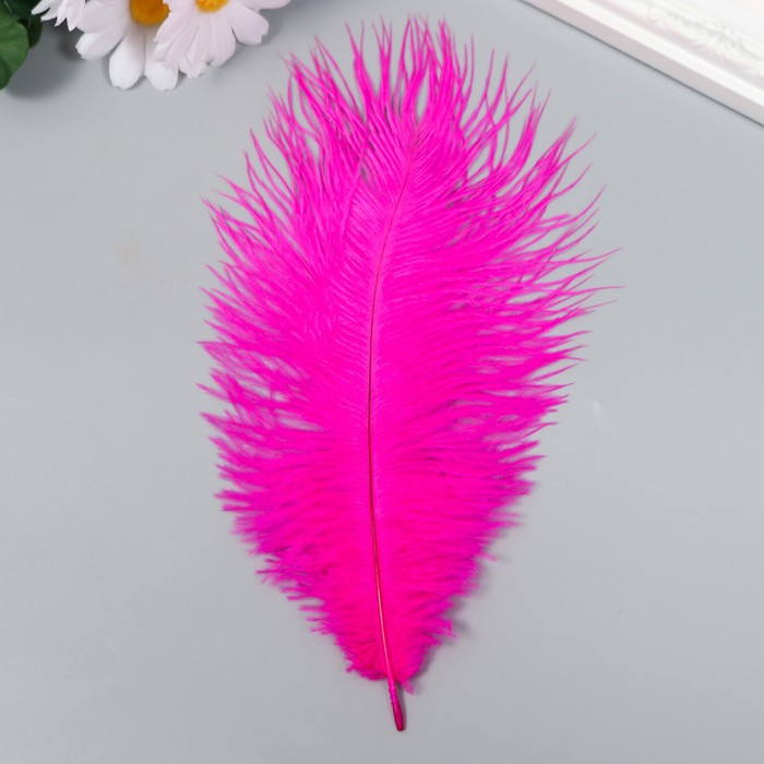 Перо страуса 200-250 мм, малиновый - Фото 1